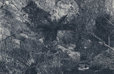 Ve Witpoortje Kloof (černobílá fotografie) od South African Photographer