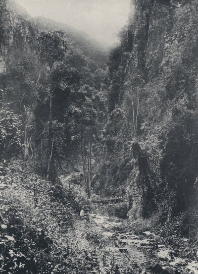 Scéna poblíž Pilgrims