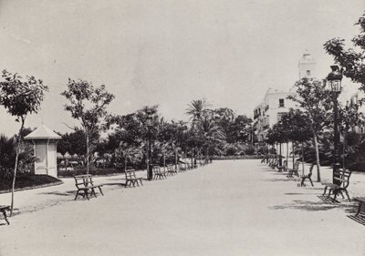 Cádiz: Alameda de Apodaca (černobílá fotografie) od Spanish Photographer