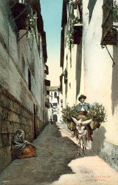 Granada, La Calle Del Horno Del Vidrio, Španělsko (barevné foto) od Spanish Photographer