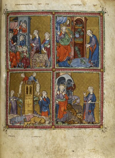 Přidat. 27210, f.12v Scény z Exodu: Mory vší, žab, moru a moru, ilustrace ze Zlaté hagady (inkoust, barva a zlato na pergamenu) od Spanish School