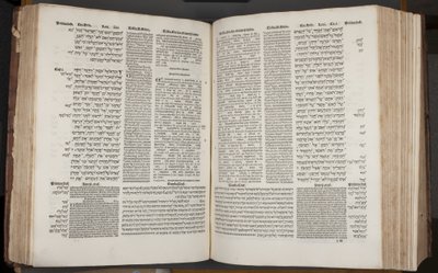 Complutensian Polyglot Bible, tisk Arnao Guillen de Brocar (rytina) od Spanish School