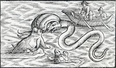 Mořské příšery, 1511 od Spanish School