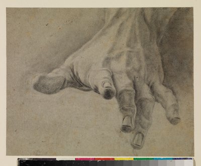 Studie levé ruky, 18. století od Spanish School