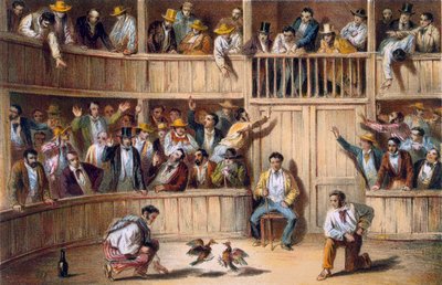 Valla de Gallos, Kuba (barevná litografie) od Spanish School