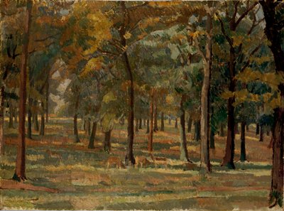 Richmond Park, 1914 od Spencer Gore