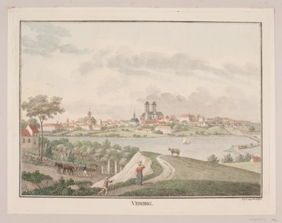 Viborg od Søren L. Lange