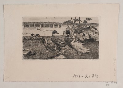 Kachny od Søren Lund