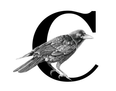 C is for Crow, 2018 (grafitová tužka a digitál) od Stacy Hsu