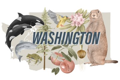 Symboly státu Washington, 2018 (grafitová tužka a digitální tisk) od Stacy Hsu
