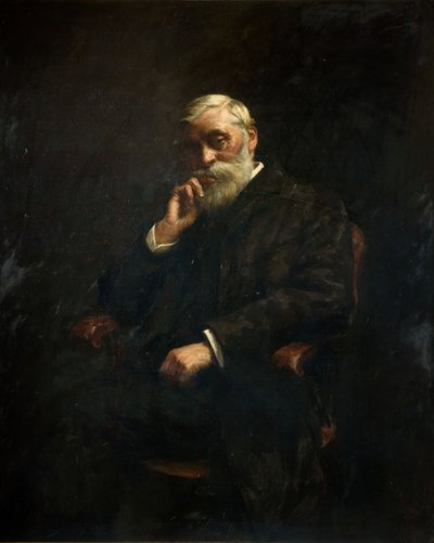 Portrét konšela GJ Johnsona 1826-1912, 1895. od Stanhope A Forbes