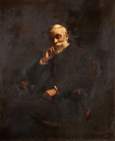 Portrét konšela GJ Johnsona 1826-1912, 1895. od Stanhope A Forbes