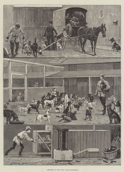 Skicy v psím domově v Battersea od Stanley Berkeley