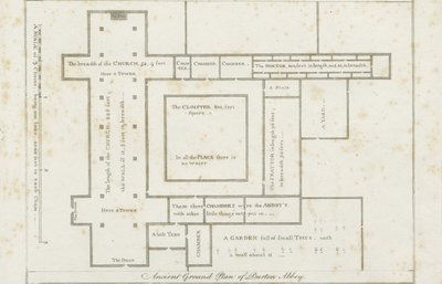 Burton-upon-Trent Abbey: rytina, nd [c 1795] (tisk) od Stebbing Shaw
