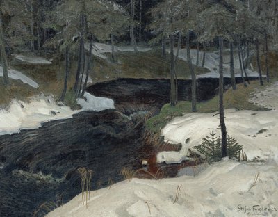 Bergstrom od Stefan Filipkiewicz