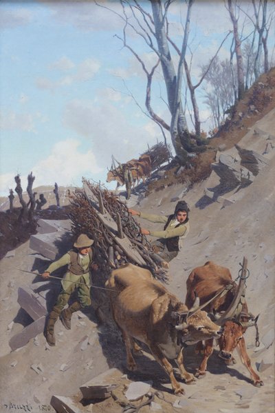 Obtížný krok od Stefano Bruzzi
