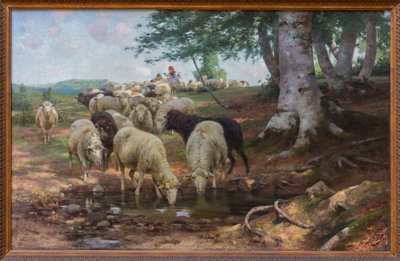 Jaro od Stefano Bruzzi