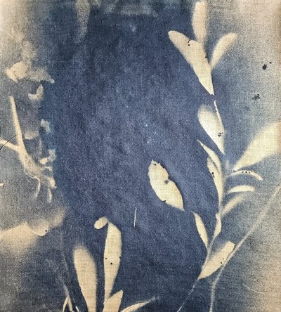 Indigové dojmy listů od Stefano Mazzolini