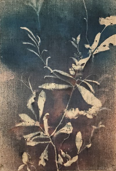 Vintage modré botanické motivy od Stefano Mazzolini