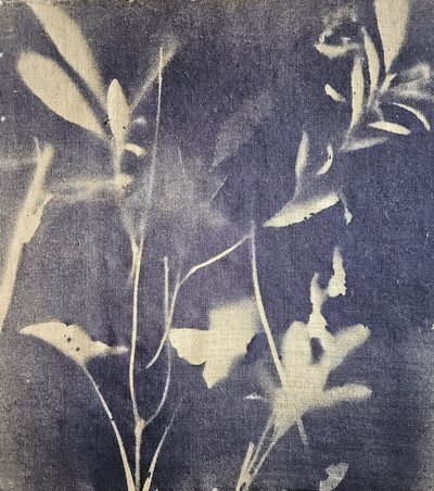 Vintage botanické modři od Stefano Mazzolini