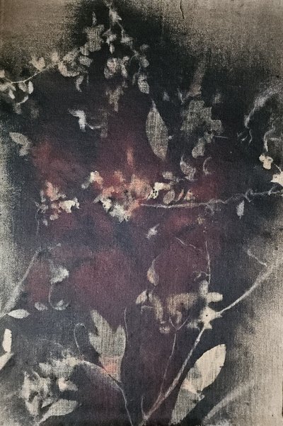 Vintage botanické vyblednutí od Stefano Mazzolini