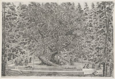 De tuin van Villa Pratolino se rozmohl Villa Pratolino (název série) Vues de la villa de Pratolino (název série) od Stefano della Bella
