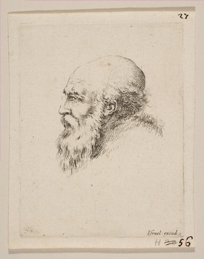 Hlava holohlavého a vousatého starce z profilu, z Různé hlavy a postavy Různé ..., 1650. od Stefano della Bella