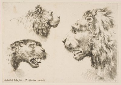 Hlavy tří lvů, ca. 1641. od Stefano della Bella