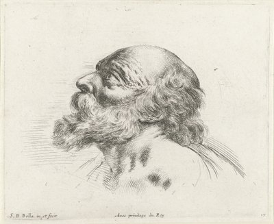 Hlava holohlavého starce s plnovousem, z profilu vlevo (možná sv. Petr) Základy kreslení (název série) I principii del disegno (název série) od Stefano della Bella