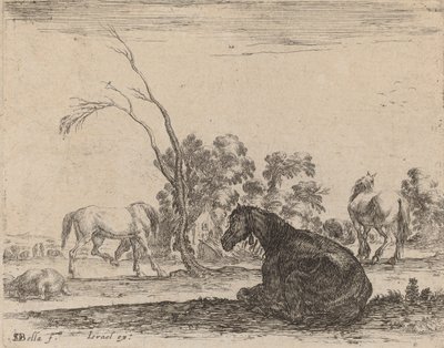 Koně na pastvině, 1642. od Stefano della Bella