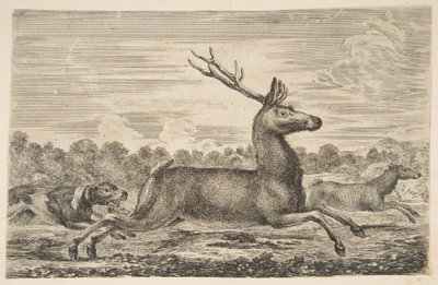 Honiči pronásledují jelena a srnu, ca. 1654. od Stefano della Bella