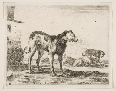 Tabulka 11: psi, z Různá zvířata Diversi animali, ca. 1641. od Stefano della Bella