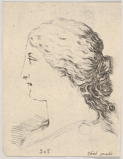 Deska 14: hlava ženy, v profilu, z „Knihy pro učení se kreslit“ Livre pou..., ca. 1649. od Stefano della Bella