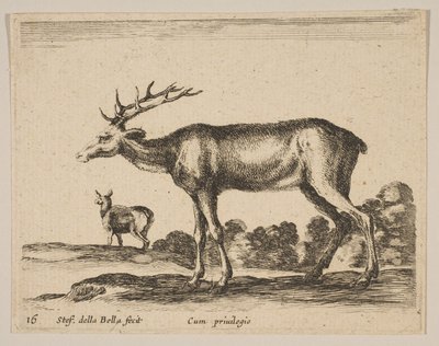Deska 16: jelen, z Různá zvířata Diversi animali, ca. 1641. od Stefano della Bella
