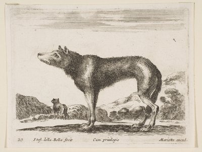 Deska 20: vlk, z Různá zvířata Diversi animali, ca. 1641. od Stefano della Bella