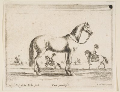 Deska 21: kůň, z Různá zvířata Diversi animali, 1641. od Stefano della Bella