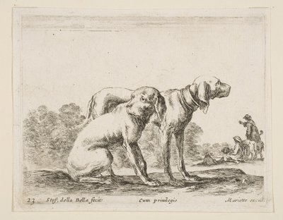 Deska 23: dva psi, od Různá zvířata Diversi animali, ca. 1641. od Stefano della Bella