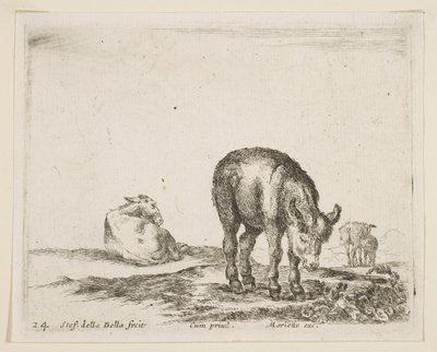 Deska 24: osli, z Různá zvířata Diversi animali, ca. 1641. od Stefano della Bella