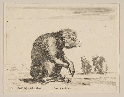 Talíř 3: sedící opice, z Různá zvířata Diversi animali, ca. 1641. od Stefano della Bella