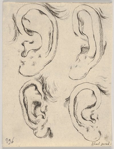 Deska 5: čtyři uši, z Knihy pro výuku kreslení Livre pour apprendre à dessi..., ca. 1649. od Stefano della Bella