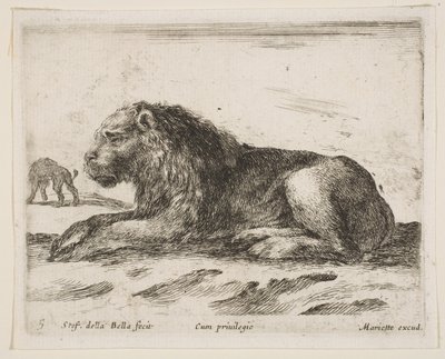 Deska 5: ležící lev, z Různá zvířata Diversi animali, 1641. od Stefano della Bella
