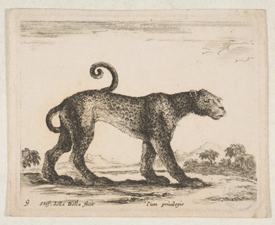 Talíř 9: leopard, z 