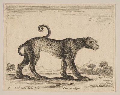 Deska 9: leopard, z Různá zvířata Diversi animali, ca. 1641. od Stefano della Bella