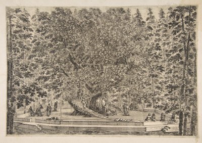 The Tree House v Pratolino, ca. 1653. od Stefano della Bella