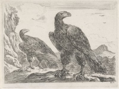 Dva orli s hlavami vpravo Eagles (název série) od Stefano della Bella