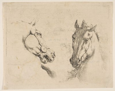 Dvě koňské hlavy, ca. 1649. od Stefano della Bella