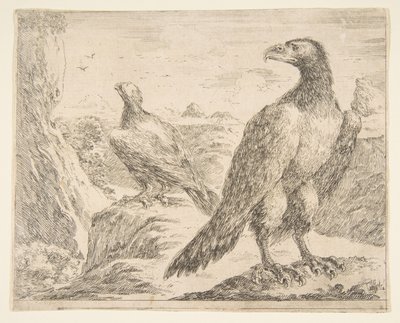Dva orli, od Eagles Les aigles, ca. 1651. od Stefano della Bella