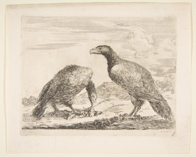 Dva orli, jeden požírající jehně, z Eagles Les aigles, ca. 1651. od Stefano della Bella