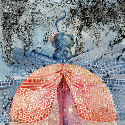 Dragonfly 1 od Stephanie Law