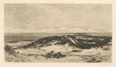Mořský had od Stephen Alonzo Schoff, after Elihu Vedder